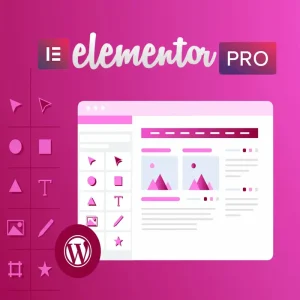 افزونه Elementor Pro