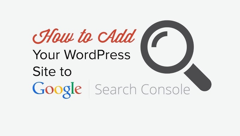 افزونه جستجوی سفارشی گوگل | WPMU DEV Custom Google Search